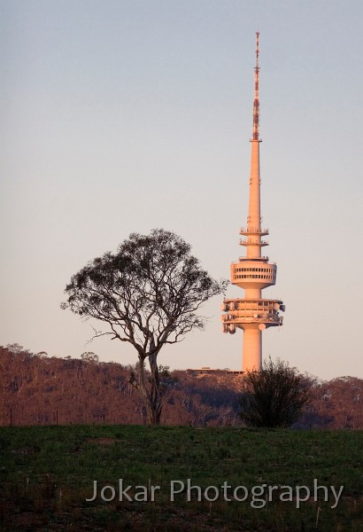Arboretum_20070321_073.jpg - Black Mountain tower, Canberra, ACT